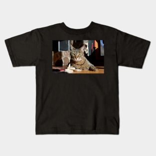 Brown Tabby Kids T-Shirt